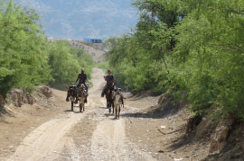 Boquillas del Carmen