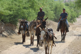 Boquillas del Carmen