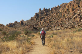 Grapevine Hills Trail