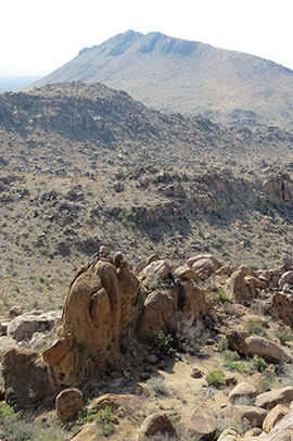 Grapevine Hills Trail