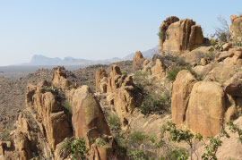 Grapevine Hills Trail