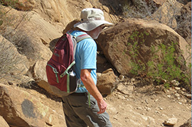 Grapevine Hills Trail