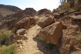 Grapevine Hills Trail