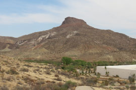 Barton Warnock Visitor Center