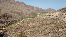 Hoodoos Trail