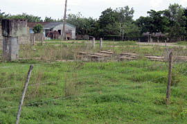 Old Outdoor Theater at King Ranch