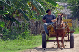 Village at King Ranch