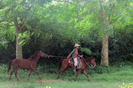 On the way to Remedios