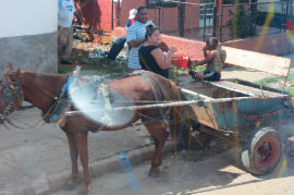 Pictures from the bus