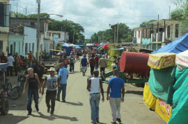 Pictures from the bus