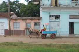 Pictures from the bus