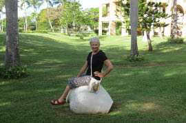 Melia Las Americas Hotel Resort