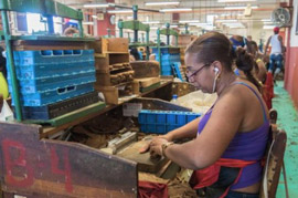 Tabacuba Tobacco Factory