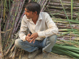 Backstreets in Shahpura