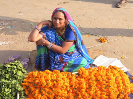 Streets of Old Jaipur