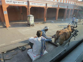 Streets of Old Jaipur