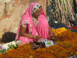 Streets of Old Jaipur
