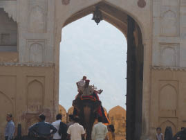 Amer Fort