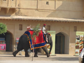 Amer Fort