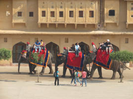Amer Fort