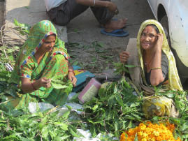 Streets of Old Jaipur