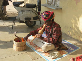 Snake Charmer
