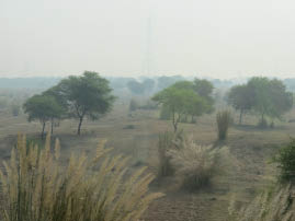 On the road to Ranthambore