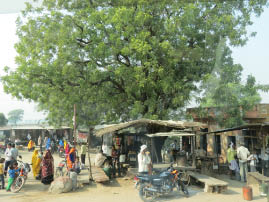 On the road to Ranthambore