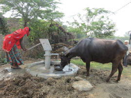 On the road to Ranthambore