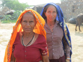 On the road to Ranthambore