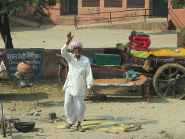 On the road to Ranthambore