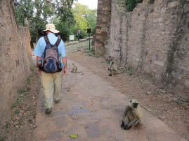 Fort Ranthambhore