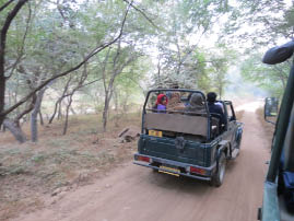 Ranthambore National Park