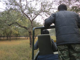 Ranthambore National Park