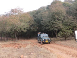 Ranthambore National Park