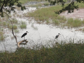 Ranthambore National Park