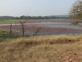 Ranthambore National Park