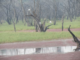 Ranthambore National Park