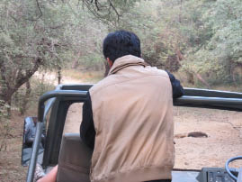 Ranthambore National Park