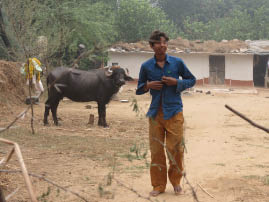 Farm House Near Ranthambore