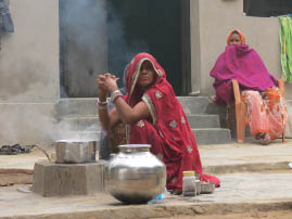 Farm House Near Ranthambore
