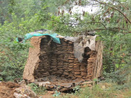 Farm House Near Ranthambore