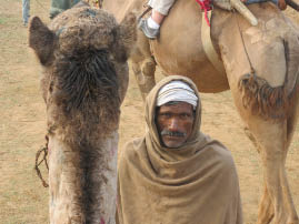 Camel Ride