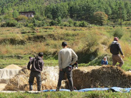 On the Road to Thimphu
