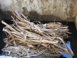 Jungshi Handmade Paper Factory