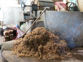 Jungshi Handmade Paper Factory