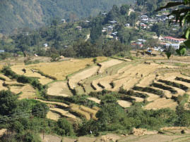 The Road to Punakha