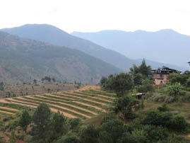View from Meri Puensum Resort