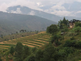 Scenes from our hotel