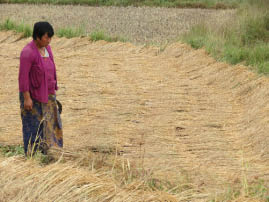 Hike to Chimi Lhakhang